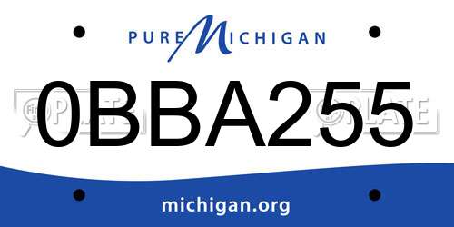 0BBA255 Michigan License Plate