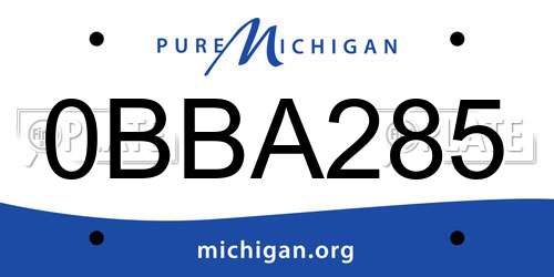 0BBA285 Michigan License Plate