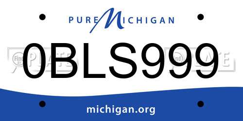 0BLS999 Michigan License Plate