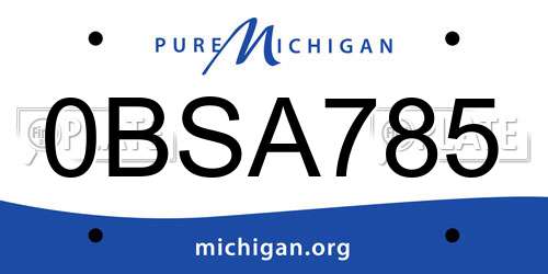 0BSA785 Michigan License Plate