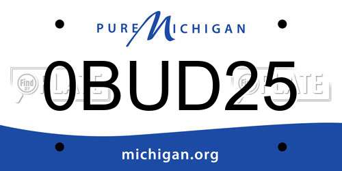 0BUD25 Michigan License Plate