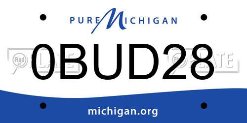 0BUD28 Michigan License Plate