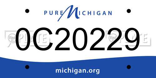 0C20229 Michigan License Plate