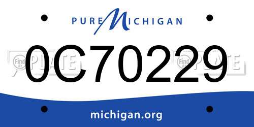 0C70229 Michigan License Plate