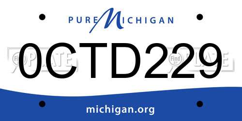 0CTD229 Michigan License Plate