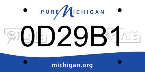 0D29B1 Michigan License Plate