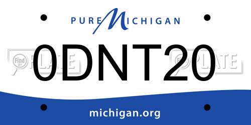 0DNT20 Michigan License Plate