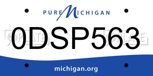 0DSP563 Michigan License Plate