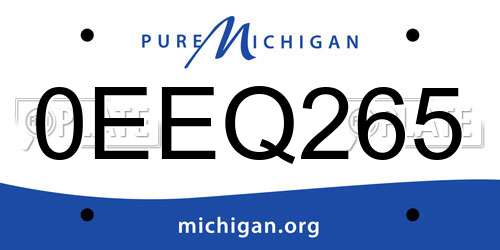 0EEQ265 Michigan License Plate