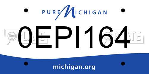 0EPI164 Michigan License Plate