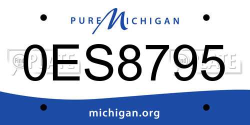 0ES8795 Michigan License Plate