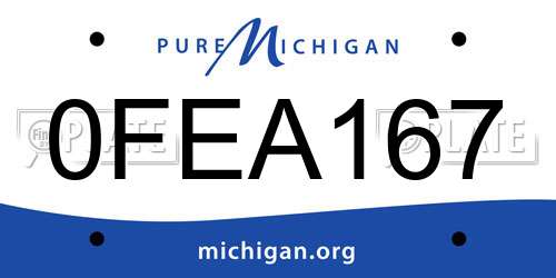 0FEA167 Michigan License Plate