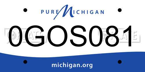 0GOS081 Michigan License Plate