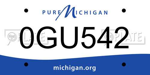 0GU542 Michigan License Plate