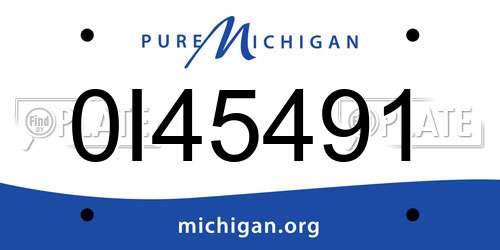 0I45491 Michigan License Plate