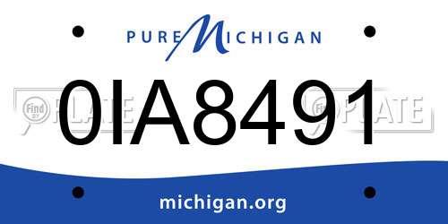 0IA8491 Michigan License Plate