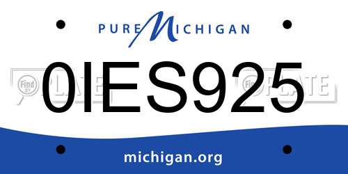 0IES925 Michigan License Plate