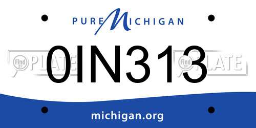 0IN313 Michigan License Plate