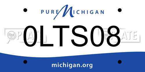 0LTS08 Michigan License Plate