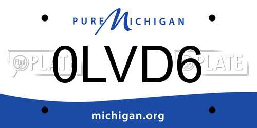 0LVD6 Michigan License Plate