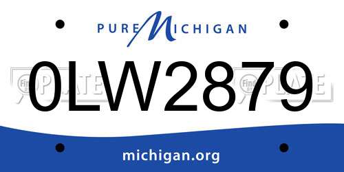 0LW2879 Michigan License Plate