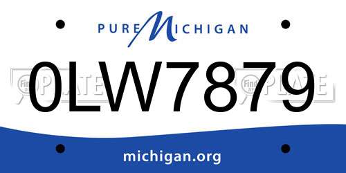 0LW7879 Michigan License Plate