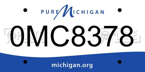 0MC8378 Michigan License Plate