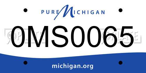 0MS0065 Michigan License Plate