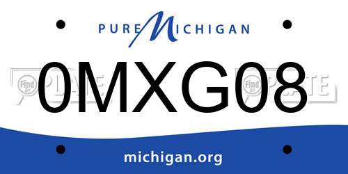 0MXG08 Michigan License Plate