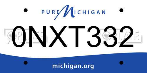 0NXT332 Michigan License Plate