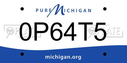 0P64T5 Michigan License Plate