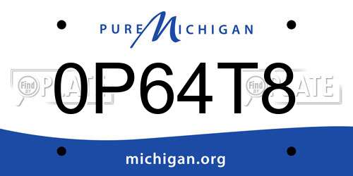 0P64T8 Michigan License Plate
