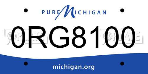 0RG8100 Michigan License Plate