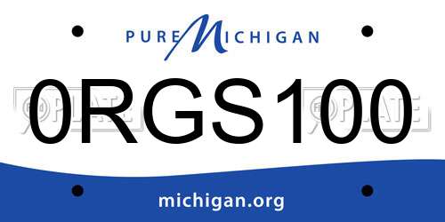 0RGS100 Michigan License Plate