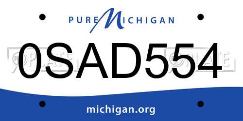 0SAD554 Michigan License Plate