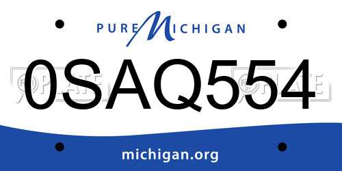 0SAQ554 Michigan License Plate