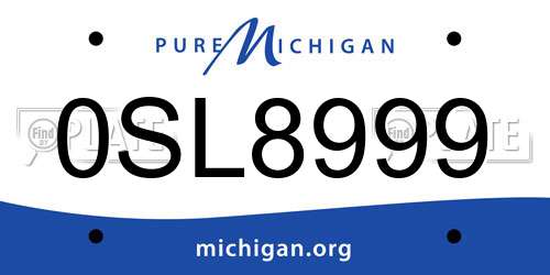 0SL8999 Michigan License Plate