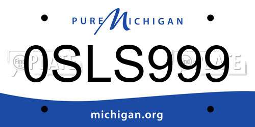 0SLS999 Michigan License Plate