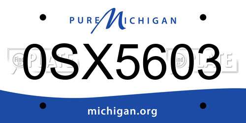 0SX5603 Michigan License Plate