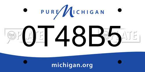 0T48B5 Michigan License Plate