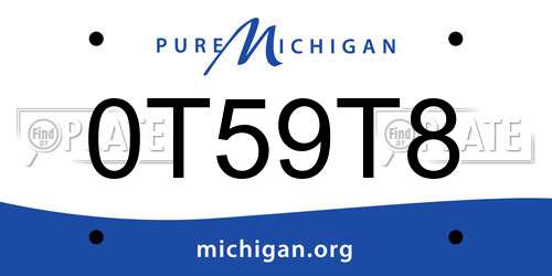 0T59T8 Michigan License Plate