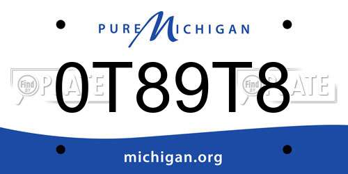 0T89T8 Michigan License Plate