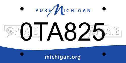 0TA825 Michigan License Plate