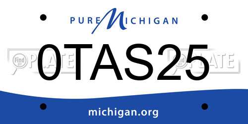 0TAS25 Michigan License Plate