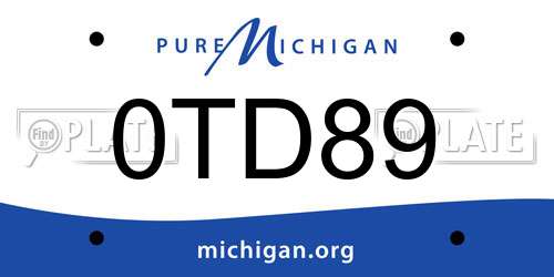 0TD89 Michigan License Plate