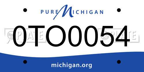 0TO0054 Michigan License Plate