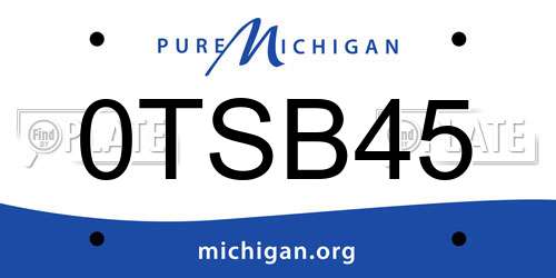 0TSB45 Michigan License Plate