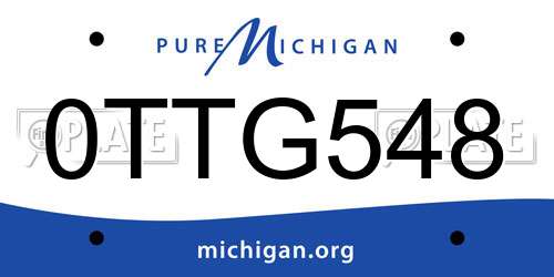 0TTG548 Michigan License Plate
