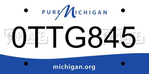 0TTG845 Michigan License Plate