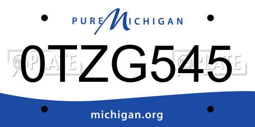 0TZG545 Michigan License Plate